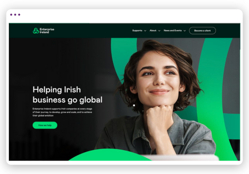 Panoramica di Enterprise Ireland